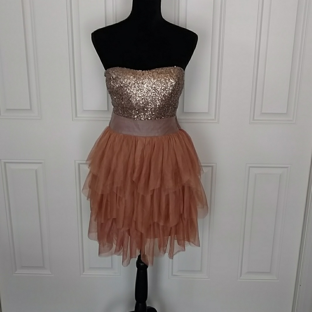 NWT Bronze and blush tulle and sequins dress sz M